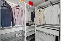 Walk-in closet with closet organizers - 