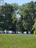 LAKE VIEW FROM DINING ROOM - 330 Helena Street, Fort Erie (Lakeshore), ON  - Outdoor 
