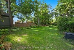 Large Backyard - 