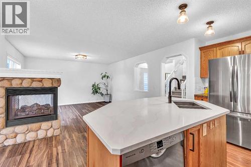 331 Springbank Place Sw, Calgary, AB - Indoor Photo Showing Kitchen With Fireplace With Double Sink With Upgraded Kitchen
