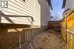 Dog-run to the side of the house - 