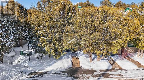 345 - 11 Harbour Street W, Collingwood, ON - Outdoor