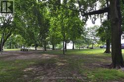 D - 6 PARK AVENUE  Toronto, ON M4E 1B6