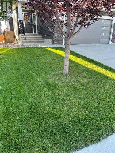 355 Evanston Way Nw, Calgary, AB - Outdoor