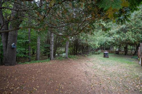 Backyard - 61 Av. Chartier, Saint-Sauveur, QC - Outdoor