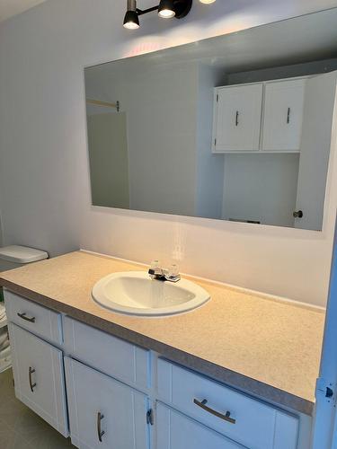 Salle de bains - 2-845 Rue Rouleau, Saint-Hyacinthe, QC - Indoor Photo Showing Bathroom