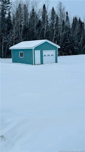 100 Mcelroy Rd, Beechwood, NB 