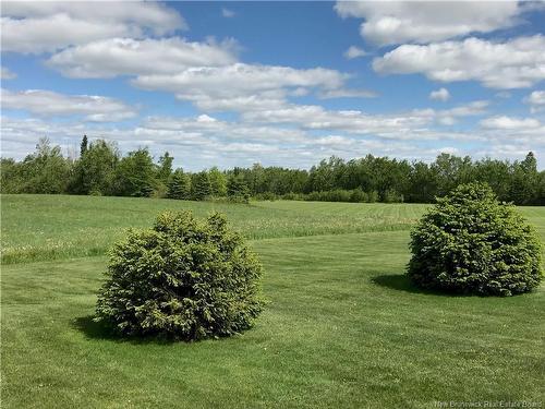 100 Mcelroy Rd, Beechwood, NB 
