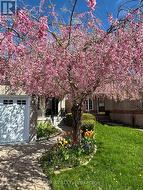 Front of Home-Summer Photo - 