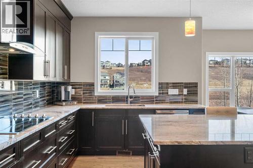 173 Sage Meadows Circle Nw, Calgary, AB - Indoor Photo Showing Kitchen With Upgraded Kitchen