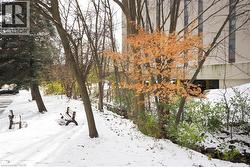 Adjacent creek and common area - 