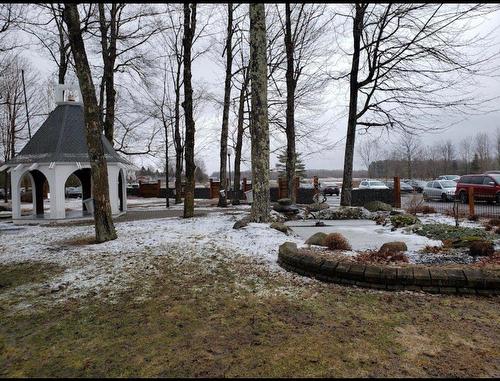 Extérieur - 396 Ch. Hallé O., Brigham, QC - Outdoor With View