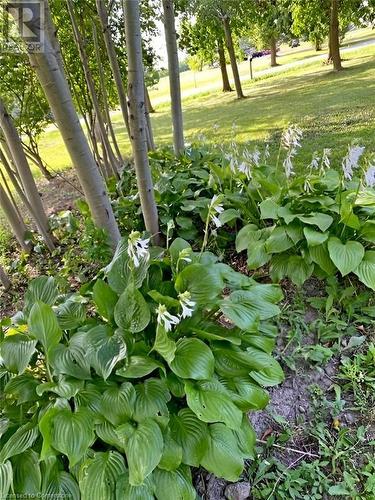 96 Second Road E, Hamilton, ON - Outdoor With View