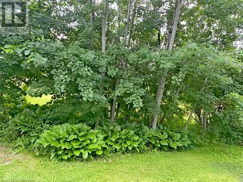 96 Second Road E, Hamilton, ON - Outdoor