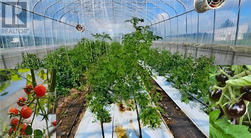 96 Second Road E, Hamilton, ON 