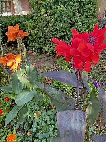 96 Second Road E, Hamilton, ON 