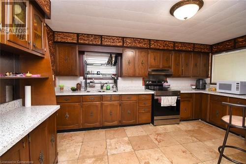 205 Ivon Avenue, Hamilton, ON - Indoor Photo Showing Kitchen With Double Sink