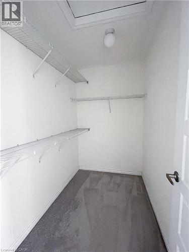 Walk in closet with dark colored carpet - 116 Watermill Street, Kitchener, ON - Indoor With Storage