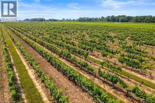 Located in prime wine country - 507 Mississagua Street, Niagara-On-The-Lake, ON - Outdoor With View