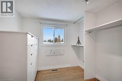 Spacious closet featuring light wood finished floors - 