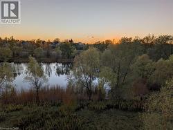 Summer Balcony Views - 