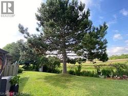 View of yard with an outdoor structure - 