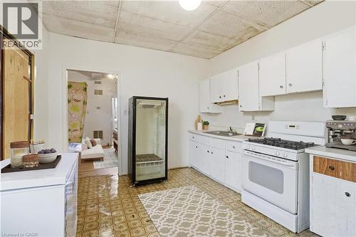 227 Wellington Street N, Hamilton, ON - Indoor Photo Showing Kitchen With Double Sink