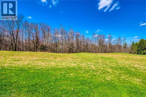 View of landscape with a wooded view - 1215 Britannia Road, Burlington, ON 