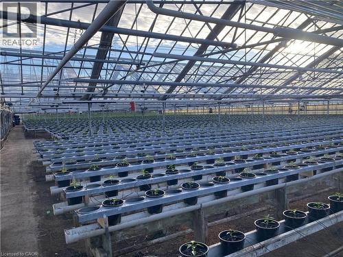 5220-5226 Greenlane Road, Beamsville, ON 