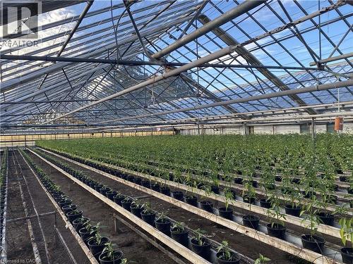 5220-5226 Greenlane Road, Beamsville, ON 