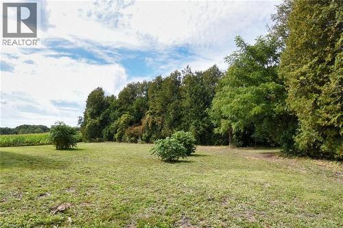 8125 Dickenson Road E, Mount Hope, ON - Outdoor With View