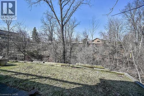 View of grassy yard - 9 Daleview Court, Hamilton, ON - Outdoor
