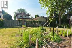 View of yard featuring a vegetable garden - 