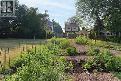View of yard featuring a garden - 