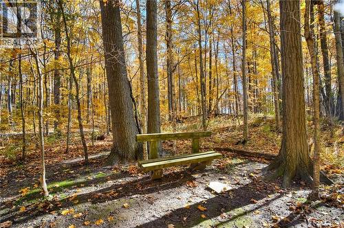 Trails near by - 35 Green Valley Drive Unit# 103, Kitchener, ON - Outdoor