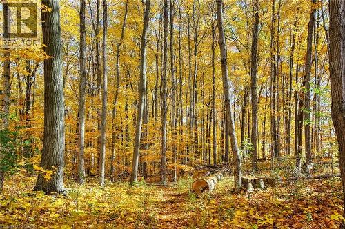 Trails near by - 35 Green Valley Drive Unit# 103, Kitchener, ON - Outdoor With View