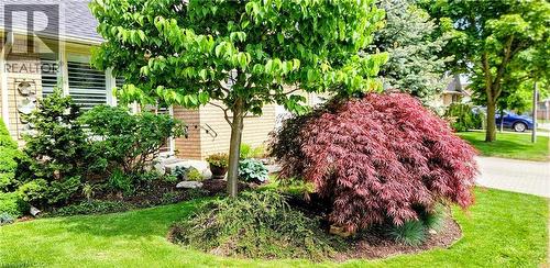 Manicured front yard with mature trees and diverse landscaping - 165 Main Street E Unit# 9, Grimsby, ON - Outdoor