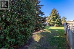 View of fenced backyard - 