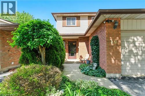 39 Megna Court, Hamilton, ON - Outdoor With Exterior