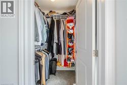 Spacious closet featuring carpet - 