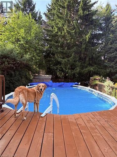 1962 Snake Road, Burlington, ON - Outdoor With Above Ground Pool With Backyard