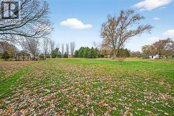 View of green lawn featuring a storage shed - 