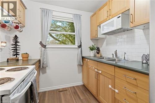 38 Golden Orchard Drive, Hamilton, ON - Indoor Photo Showing Kitchen With Double Sink