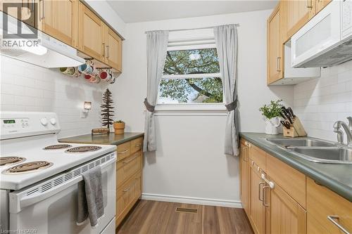 38 Golden Orchard Drive, Hamilton, ON - Indoor Photo Showing Kitchen With Double Sink