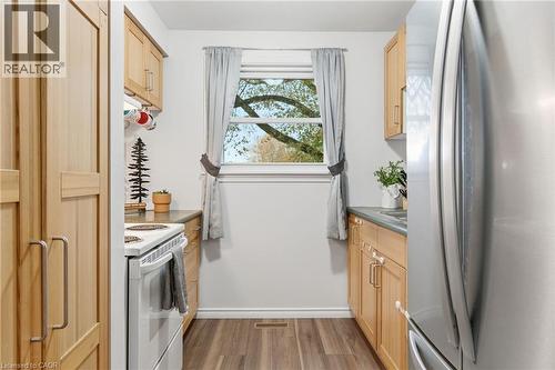 38 Golden Orchard Drive, Hamilton, ON - Indoor Photo Showing Kitchen