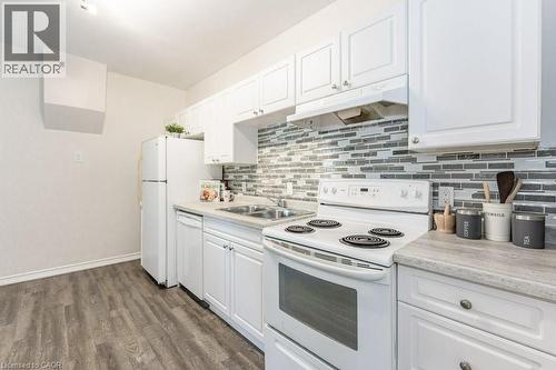 196 Picton Street E, Hamilton, ON - Indoor Photo Showing Kitchen With Double Sink