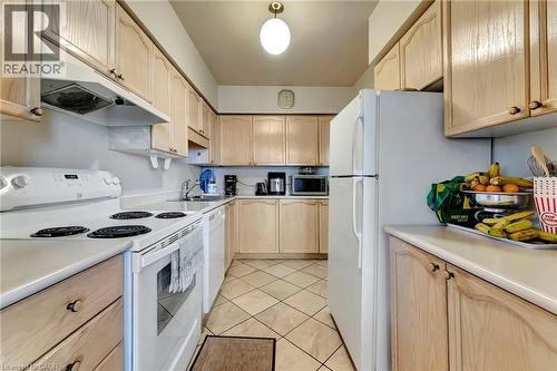 9 Bonheur Court Unit# 902, Brantford, ON - Indoor Photo Showing Kitchen