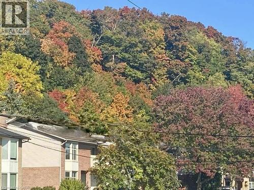 Beautiful Kimberly drive escarpment view in fall - 199 Kimberly Drive, Hamilton, ON - Outdoor