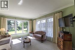 Living room featuring carpet floors and ornamental molding - 