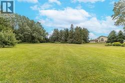 View of grassy yard - 